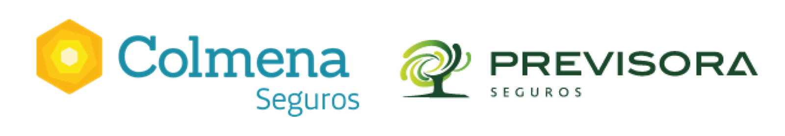 Banners aliados CCYD-07